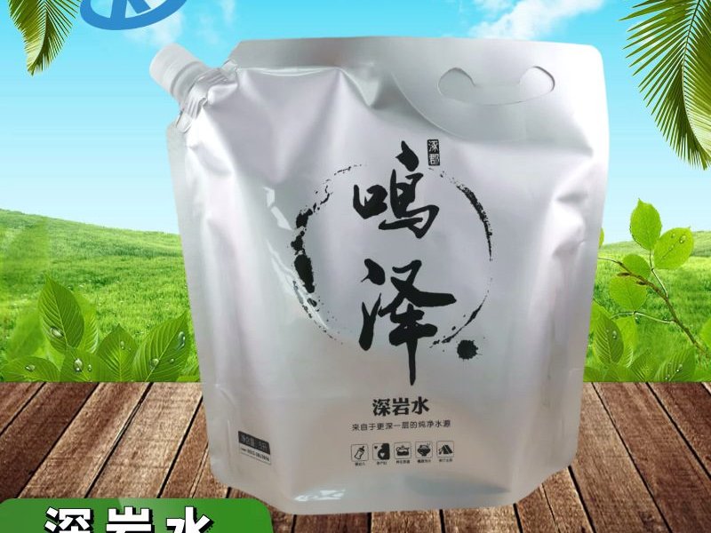 Custom High-Barrier Aluminum Foil Spouted Stand-Up Pouch for Hydrogen Water