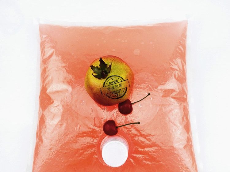 Dual Stand-Up Pouch with Spout for Hot-Fill Sauce and Edible Oil Delivery