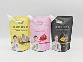 Spout Pouch for Liquids